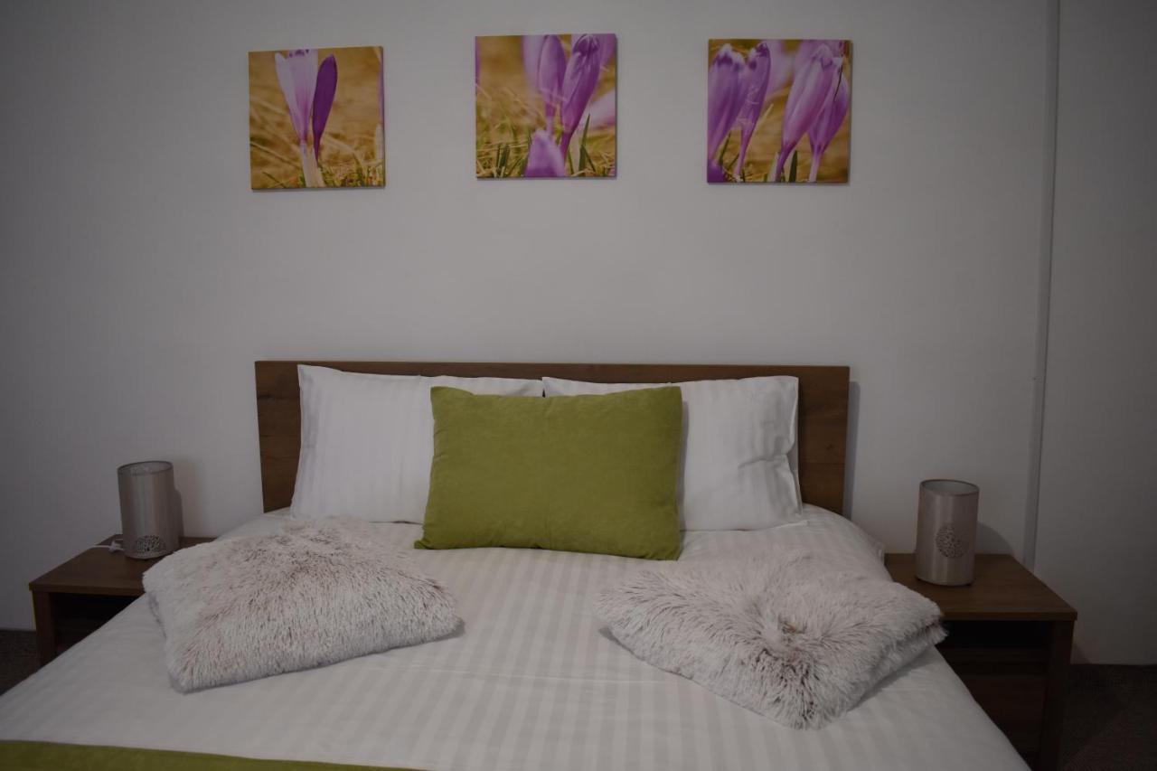Apartament Zimbru كلوج-نابوكا المظهر الخارجي الصورة